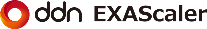 DDN EXAScalerのロゴマーク