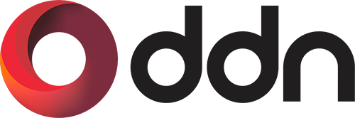 DDNのロゴマーク