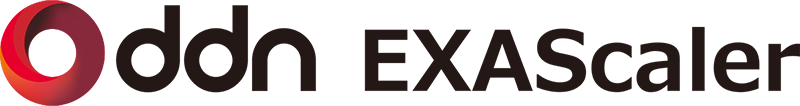 DDN EXAScalerのロゴマーク