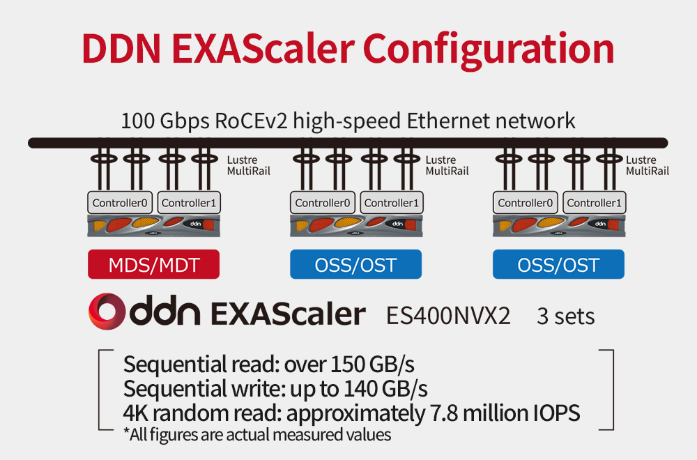 DDN Storage Configuration for Gaggle Cluster