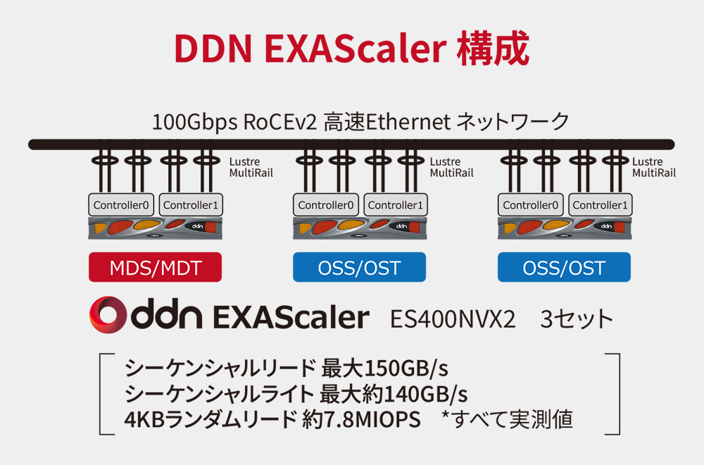 Gaggle ClusterのDDNストレージ構成